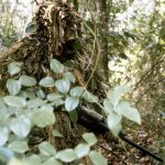Multispectral Camouflage Suit